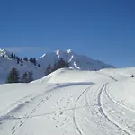 Haus Berghof 3* Schröcken