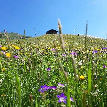 Haus Berghof Bed & Breakfast