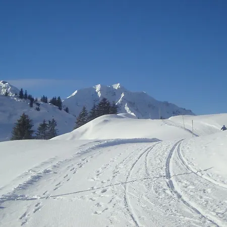 Haus Berghof 3* Schröcken